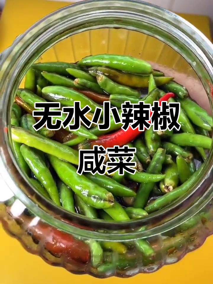 小辣椒咸菜无水腌制,简单又美味
