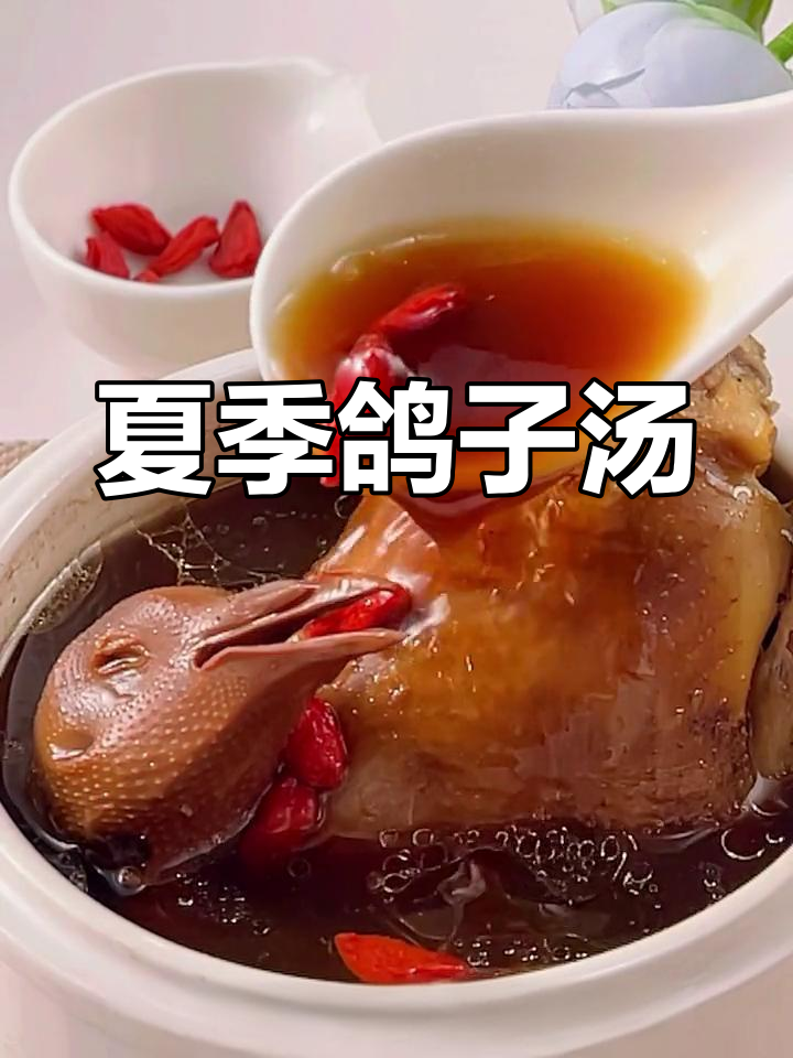 立夏养生鸽子汤,滋补又美味
