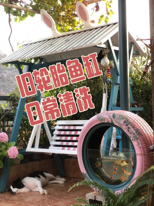 被问了无数遍的轮胎鱼缸清洗过程来了!