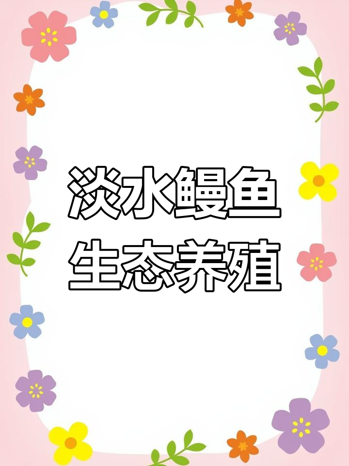 淡水鳗鱼养殖秘诀:从三四十块到百元高价,如何做到?