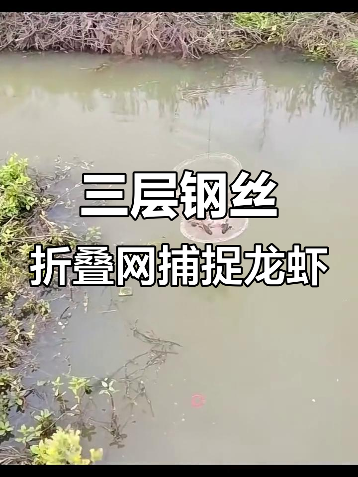 龙虾捕捞神器，轻松抓获贪吃小龙虾