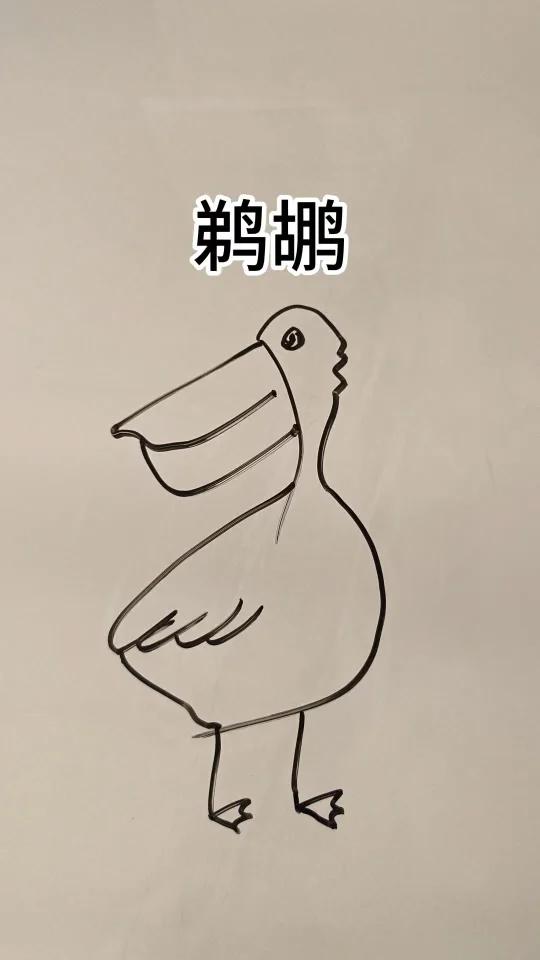 鸬鹚