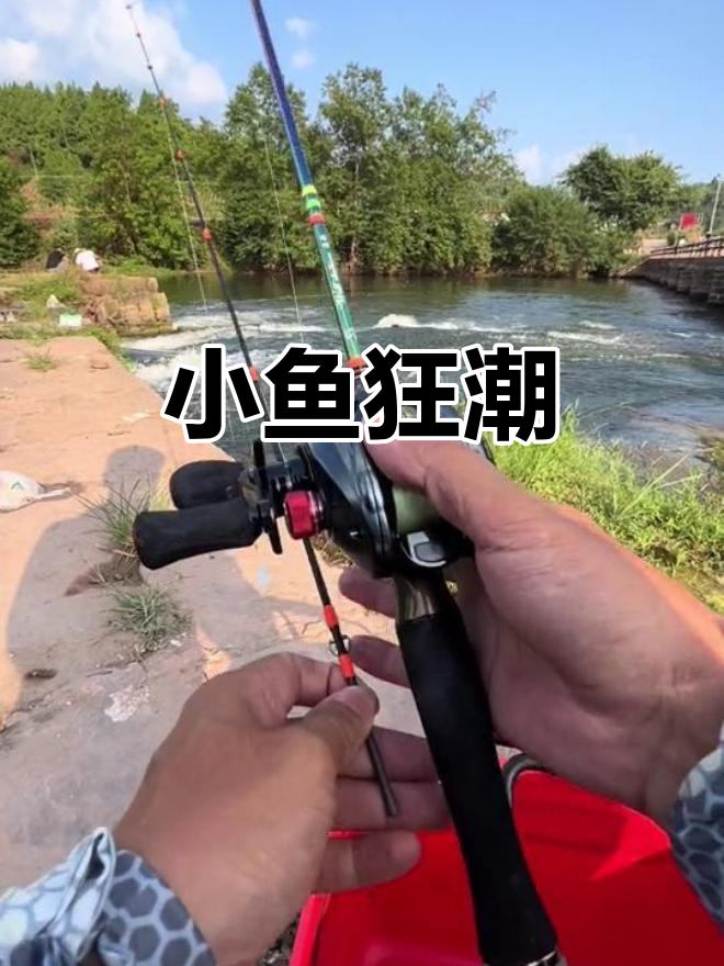 意外发现小溪里藏着无数小鱼,飞蝇钩狂拉一整天!