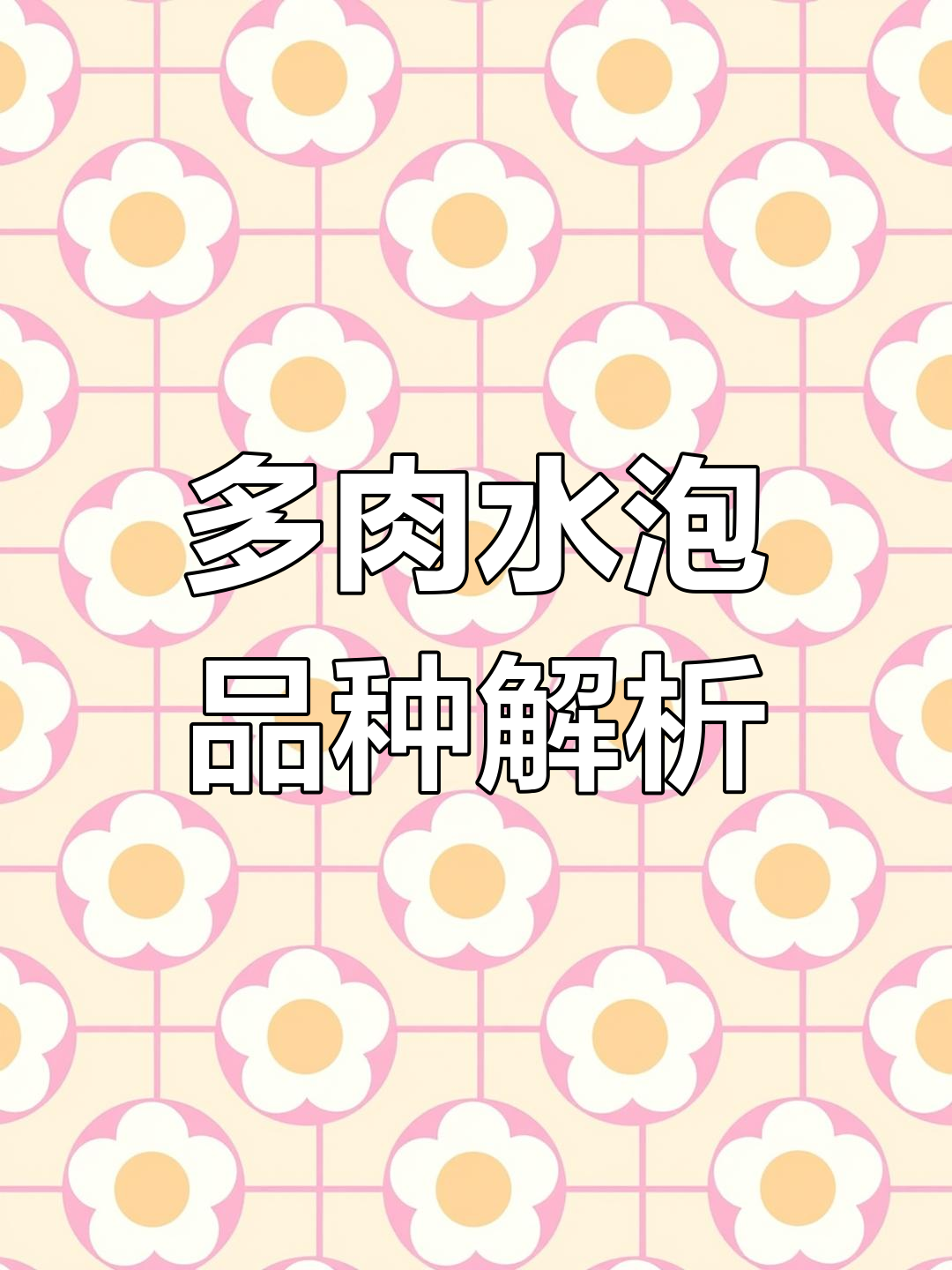 水泡多肉植物三大类,哪种最适合你?