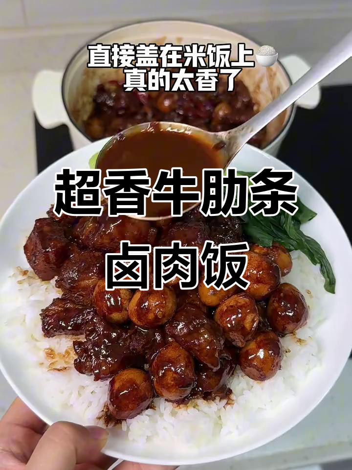 牛肋条卤肉饭，香气扑鼻让人无法抗拒！