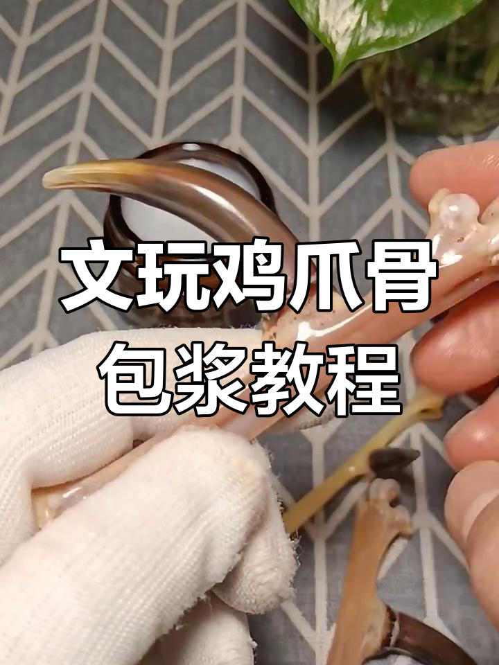 鸡爪骨盘玩与保养技巧,如何让骨头玉化更完美