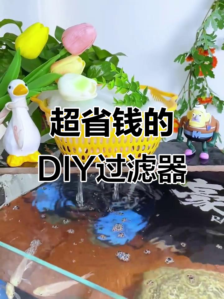 自制鱼缸过滤,简单又省钱!