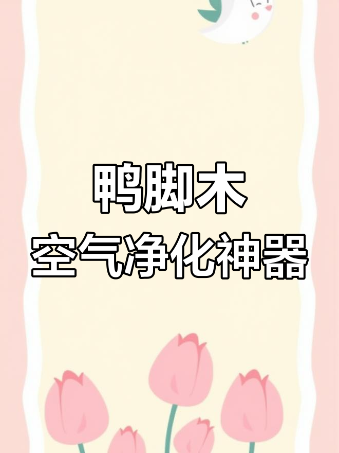 鹅掌柴:室内绿植的清新选择,吸毒又美观