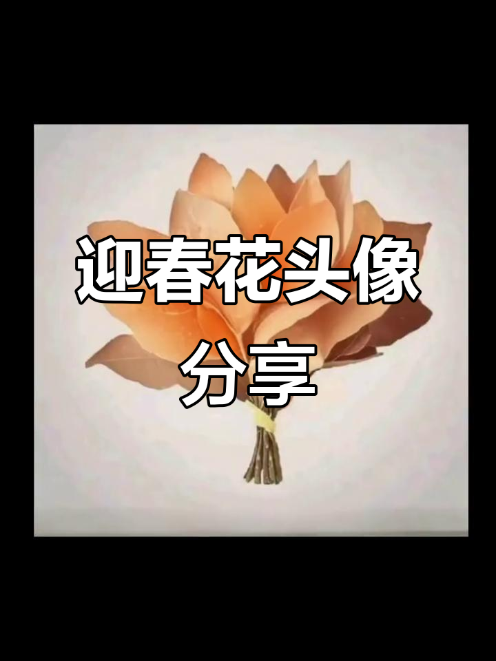 迎春花头像来啦,点亮奶茶超有趣!