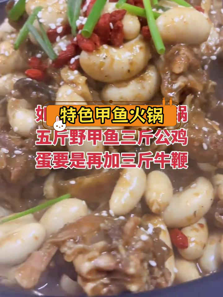 五斤甲鱼炖三斤鸡蛋,牛鞭加料更滋补