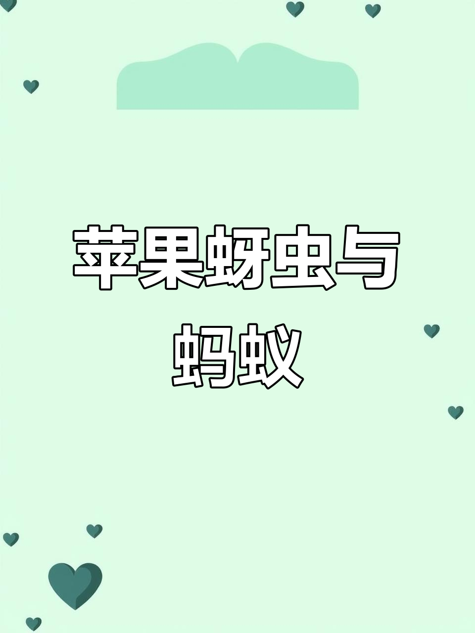 苹果蚜虫卵与蚂蚁的“合作”