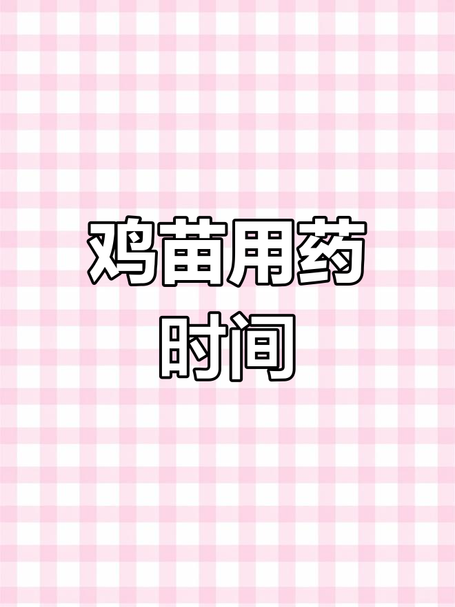 鸡苗第一天不宜喂药,视频提醒调整用药时机