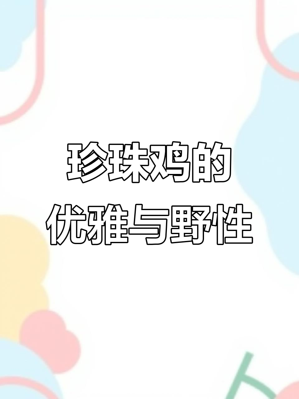 毕加索风格珍珠鸡,高贵又霸气,快来一起画吧!