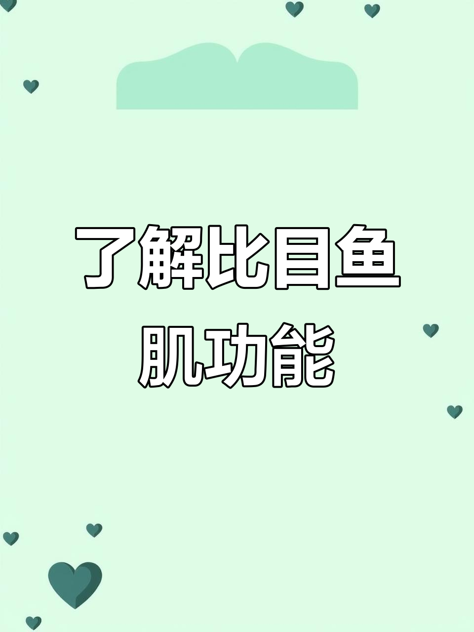 比目鱼肌:维持站立与行走的关键,训练方法全解析