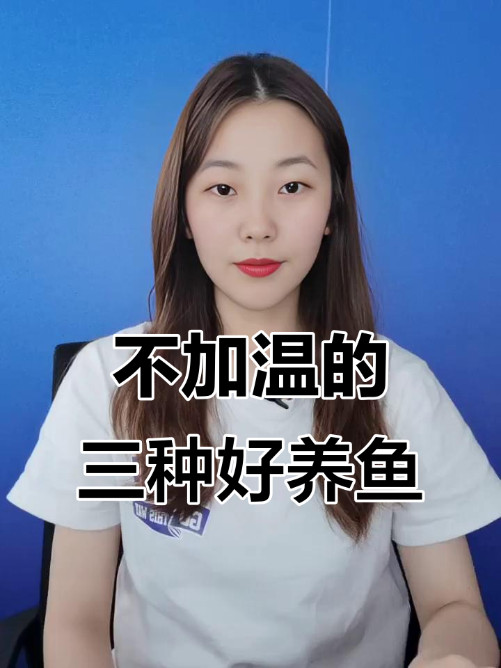 冬季不加热也能养的三种观赏鱼，低水温下依然美丽