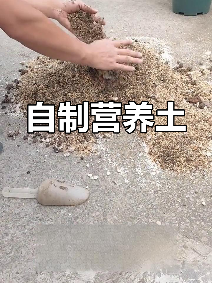 豆渣发酵成肥,轻松制作营养土,省时又省钱!