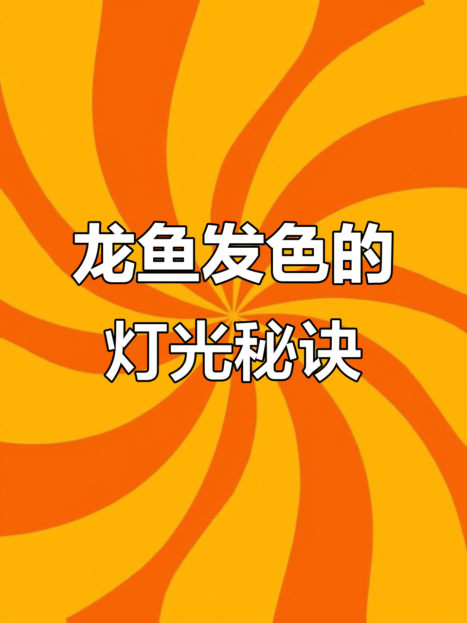 灯光如何影响龙鱼发色?状态与摆放技巧揭秘