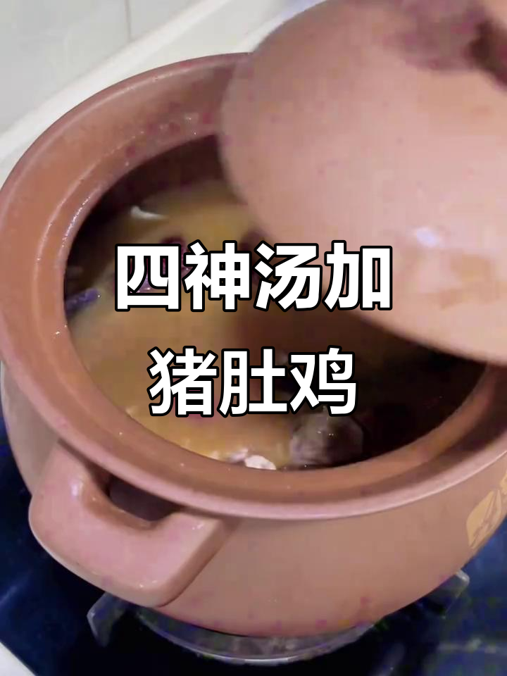 猪肚鸡炖四神汤,滋补肠胃又补血,红菇加持更养生