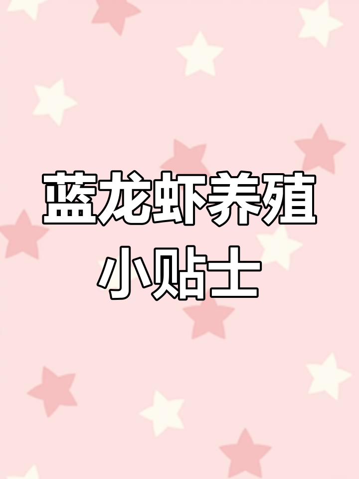 蓝龙虾暂养技巧:如何控制水温,轻松养护