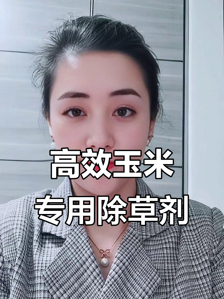 玉米除草神器,芦苇红根谷子全灭!