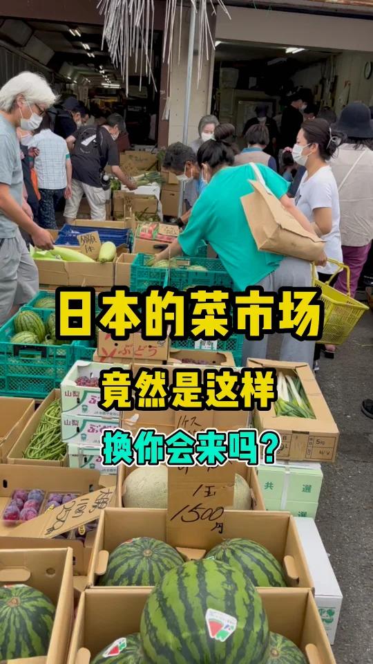 日本菜市场竟然是这样……换你会起早来吗……