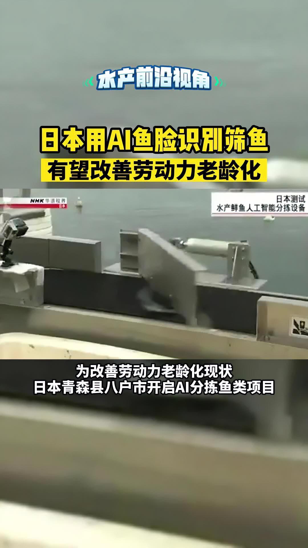 日本用AI鱼脸识别筛鱼,有望改善劳动力老龄化!你怎么看?水产养殖 养鱼 科技