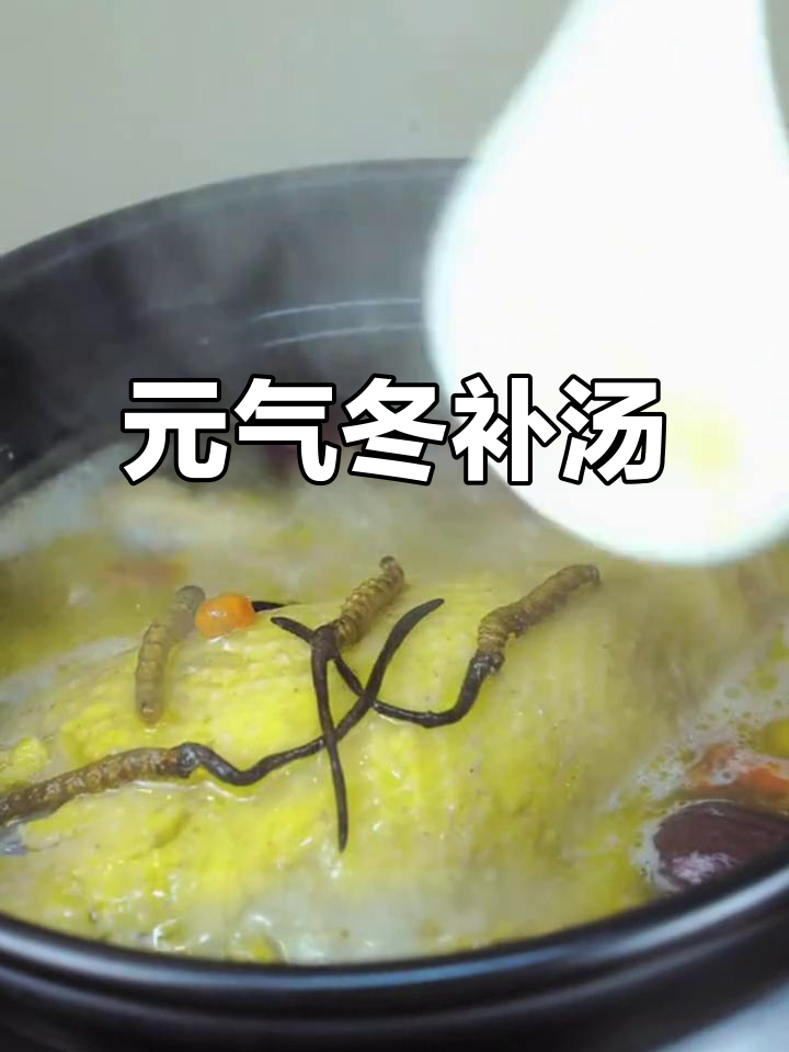 秋冬必备滋补汤,虫草炖鸡让你元气满满!