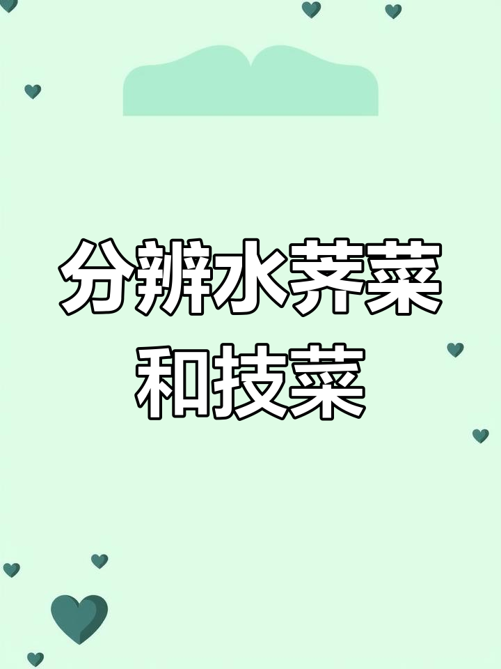 水荠菜与技菜的辨别,宽叶窄印全解析