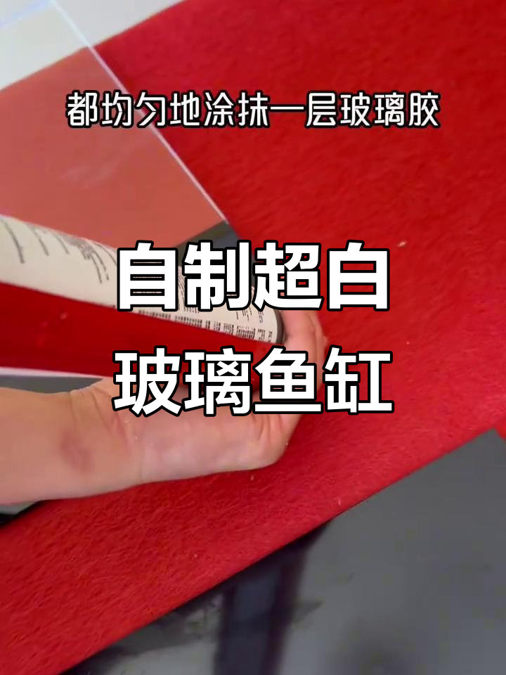 手工制作玻璃鱼缸，简单又有趣！