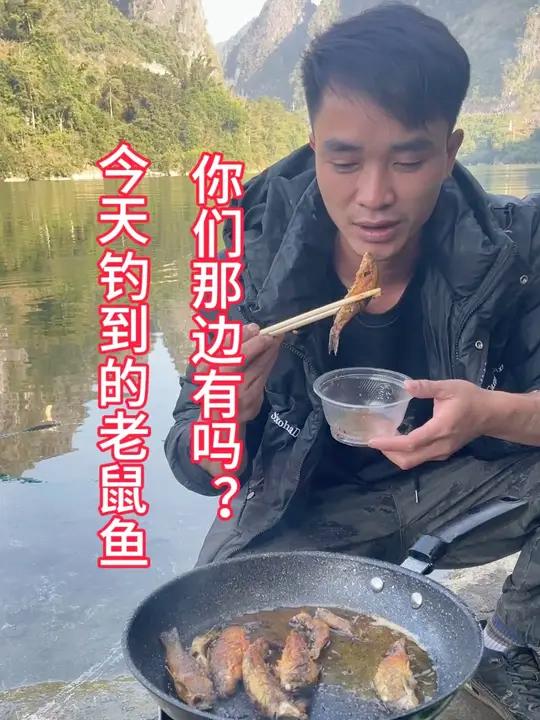 钓鱼吃鱼 河池红水河老鼠鱼、你们吃过吗