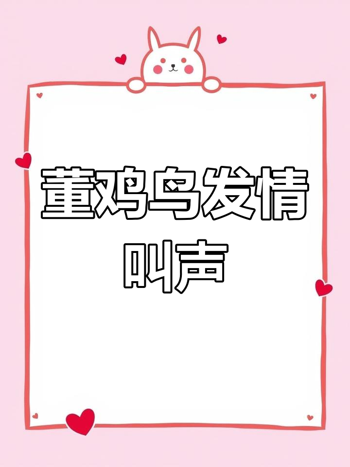 稻田中的董鸡鸟求偶声,你听过吗?