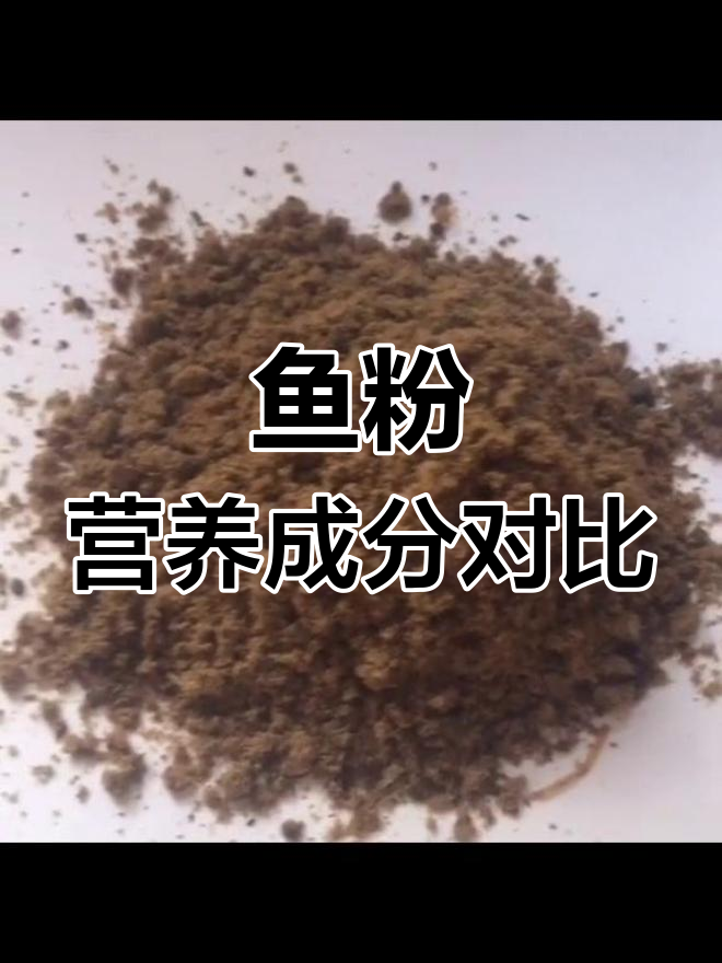 进口与国产鱼粉的差异分析