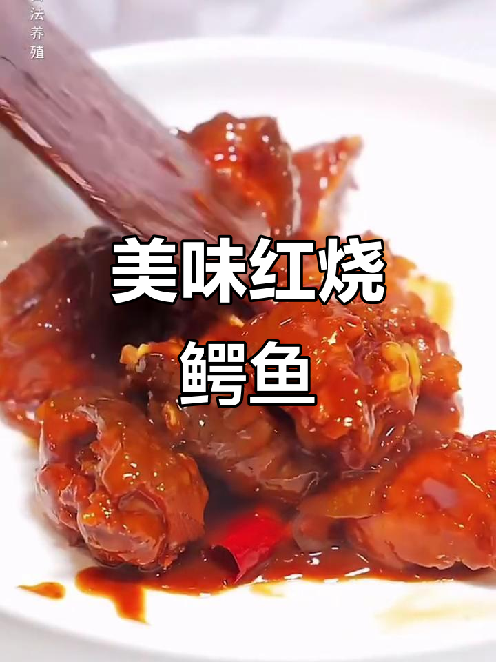 红烧鳄鱼肉，口感鲜美，做法超简单