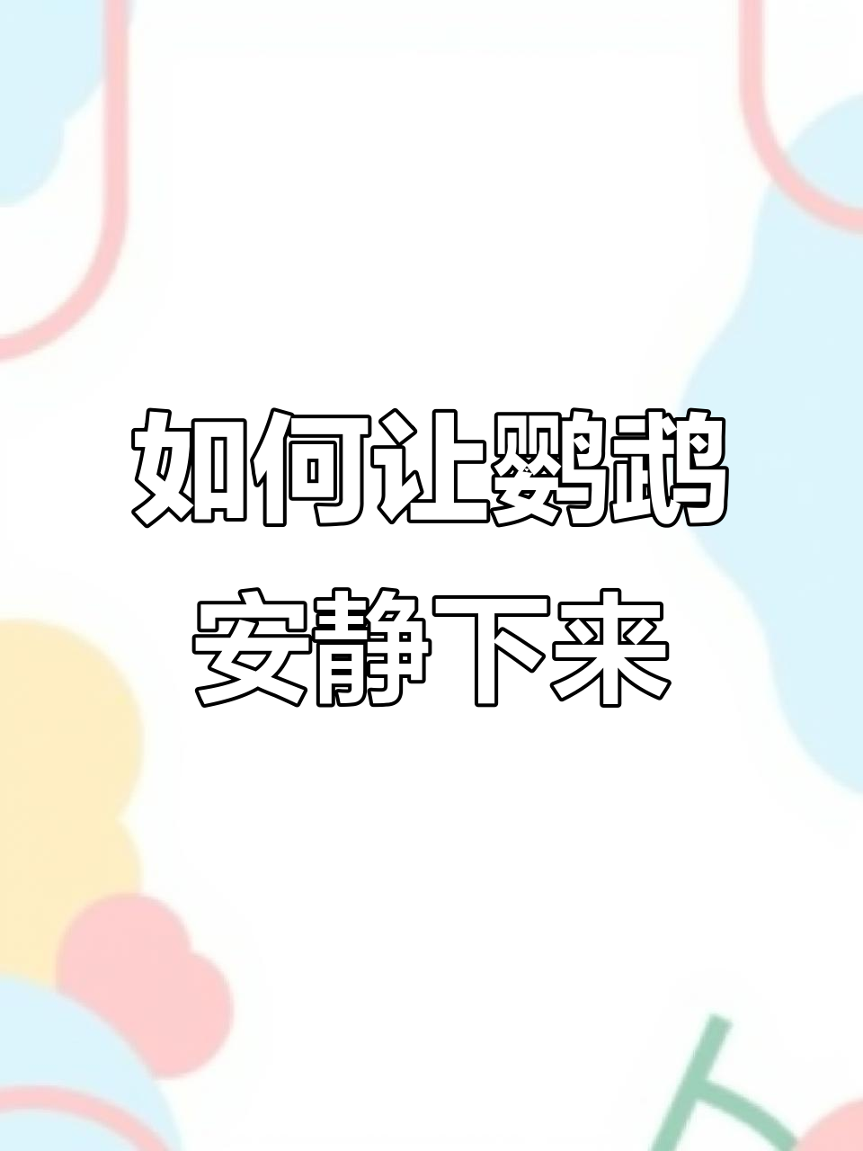 鹦鹉太吵怎么办?教你如何安抚它们