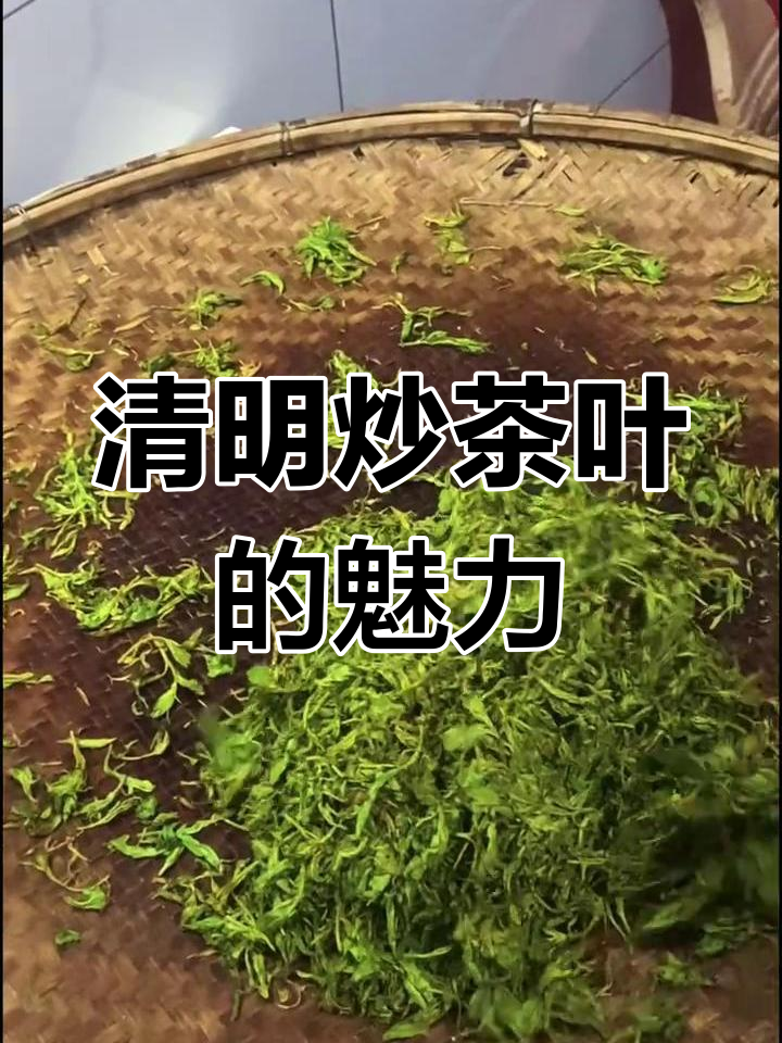清明节手工炒茶,大山里的原生态味道