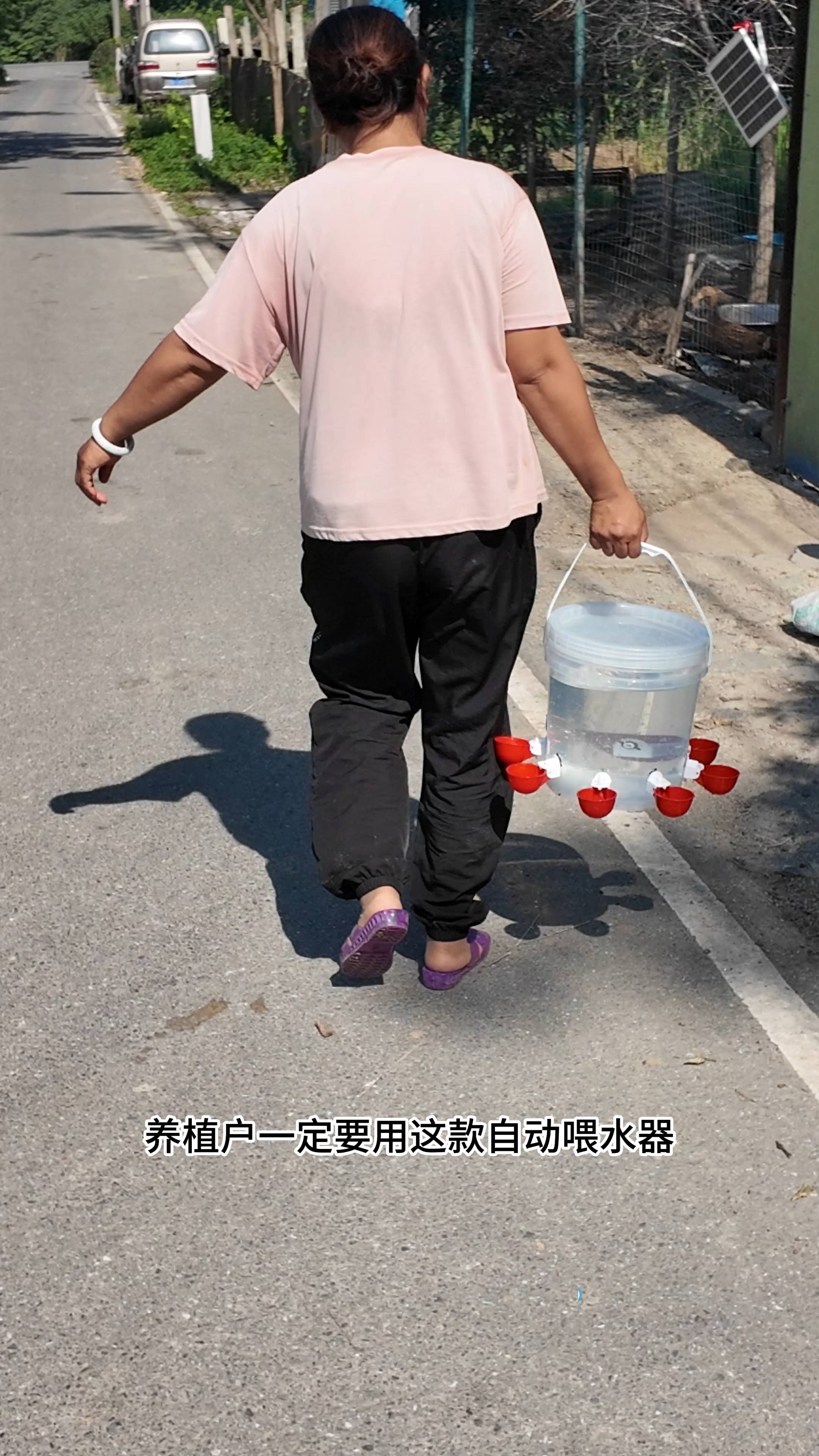 养鸡必备！塑料桶自动喂食器！