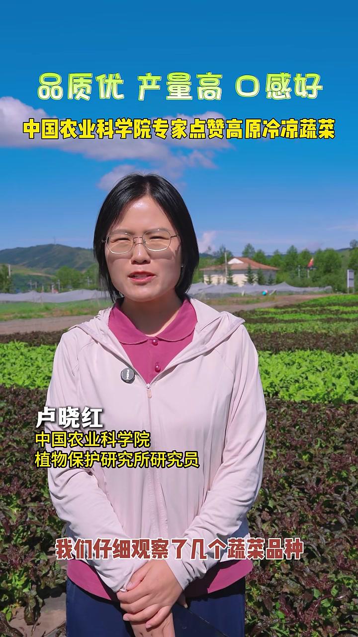 中国农业科学院专家点赞高原冷凉蔬菜 蔬菜 青海海东