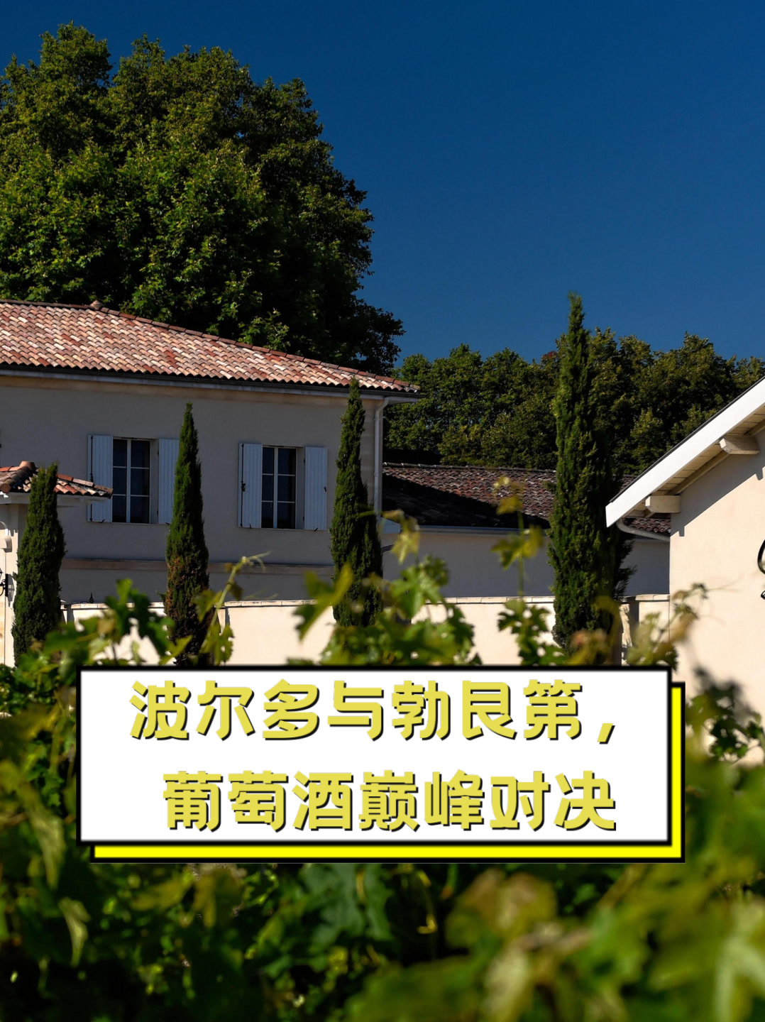 波尔多与勃艮第，葡萄酒巅峰对决