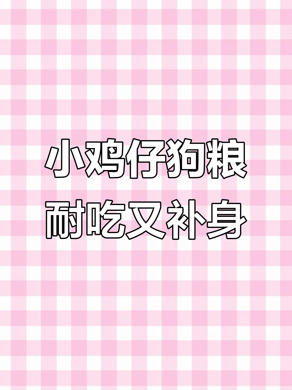每天一只小鸡仔,狗狗吃得超满足,营养又健康