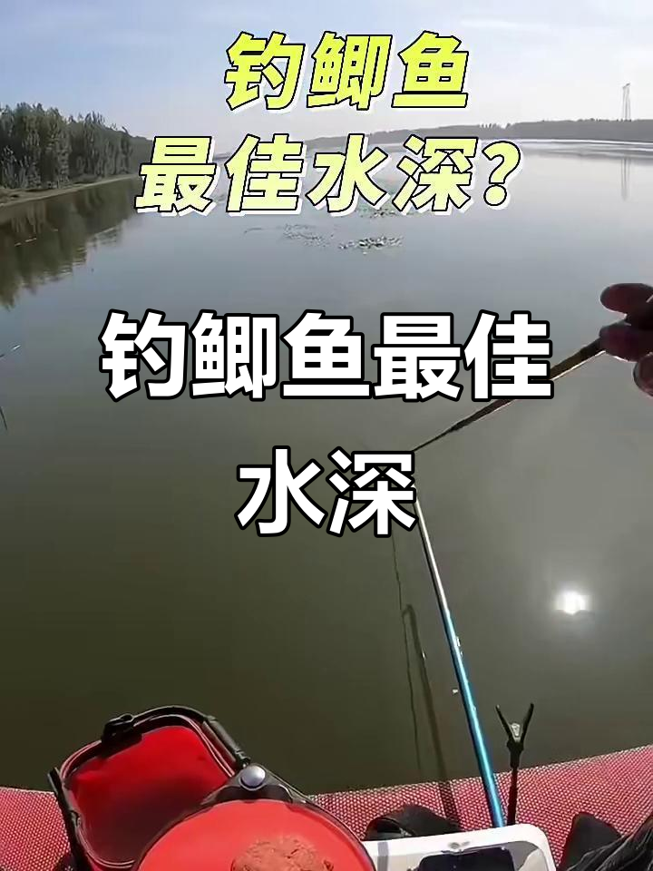 钓鲫鱼水深多少才最合适?别再被误导了!