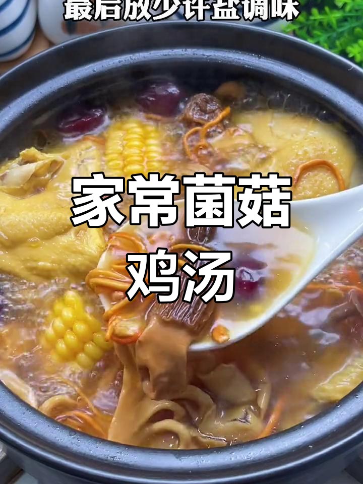 简单又营养的菌菇鸡汤,家人都夸好喝!