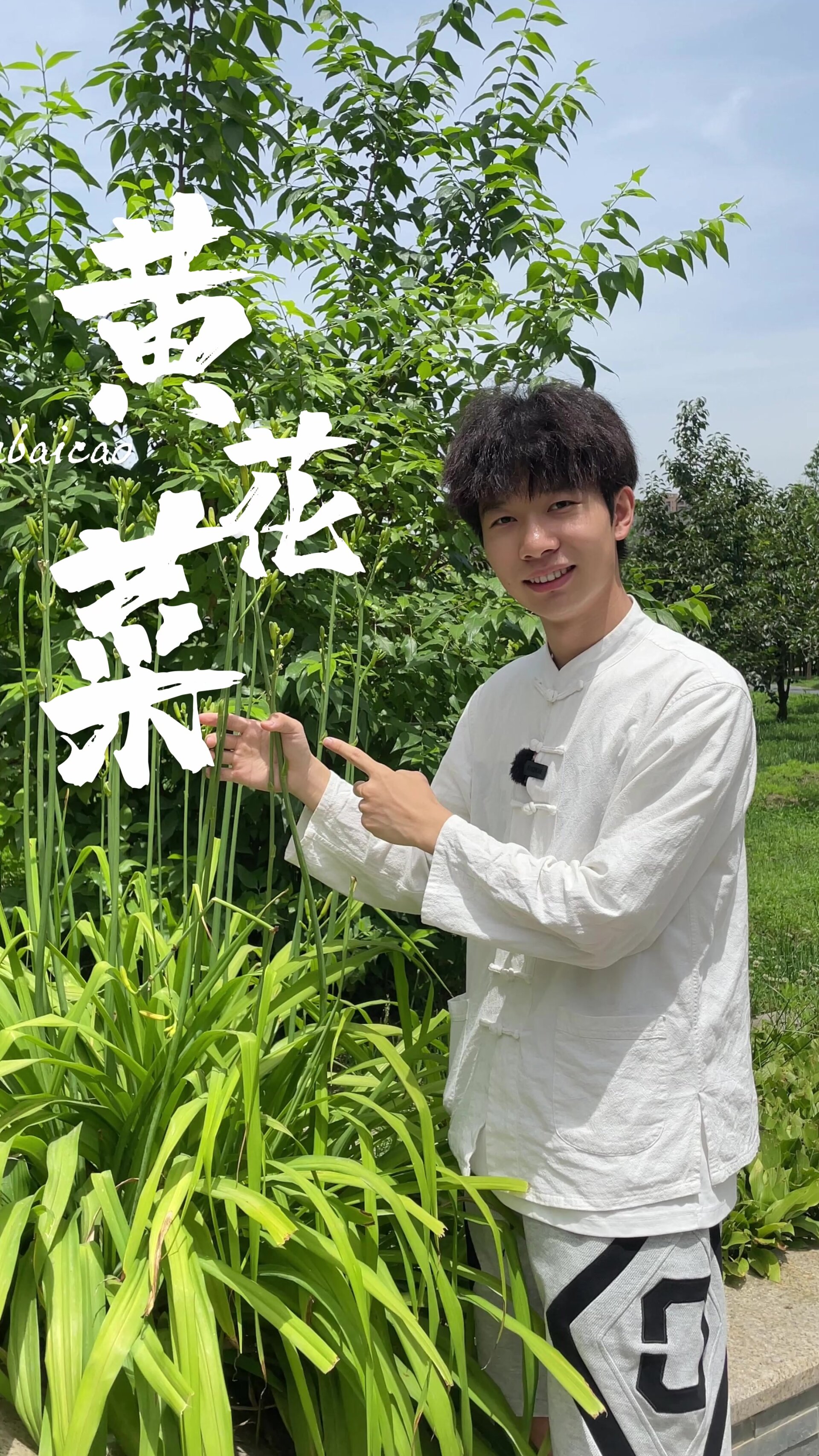 黄花菜竟然有毒,你吃过黄花菜吗?