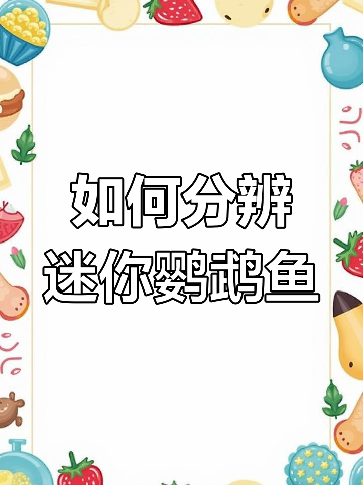 迷你鹦鹉鱼公母区分技巧