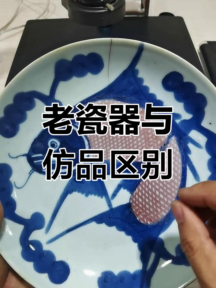 青花釉里红鱼盘真伪对比
