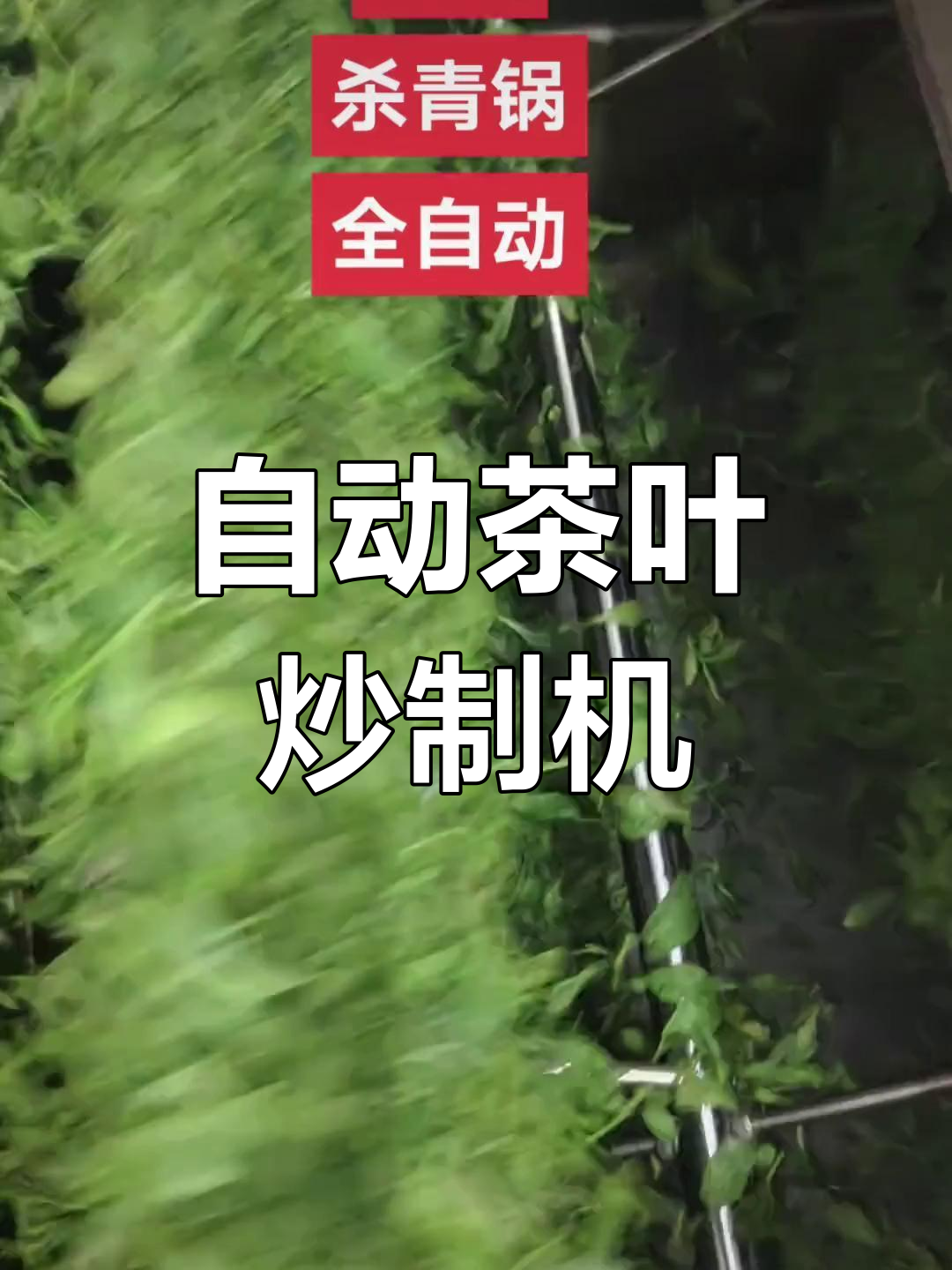 全自动茶叶炒制机,模拟古法工艺,精准控制温度与时间