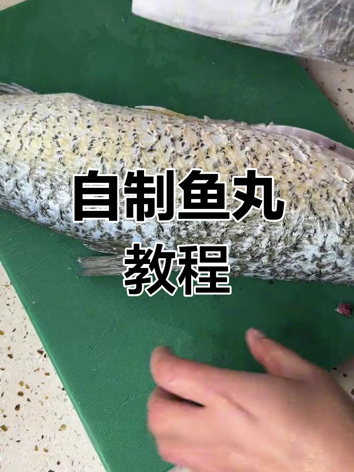 鱼圆汤年货制作全流程