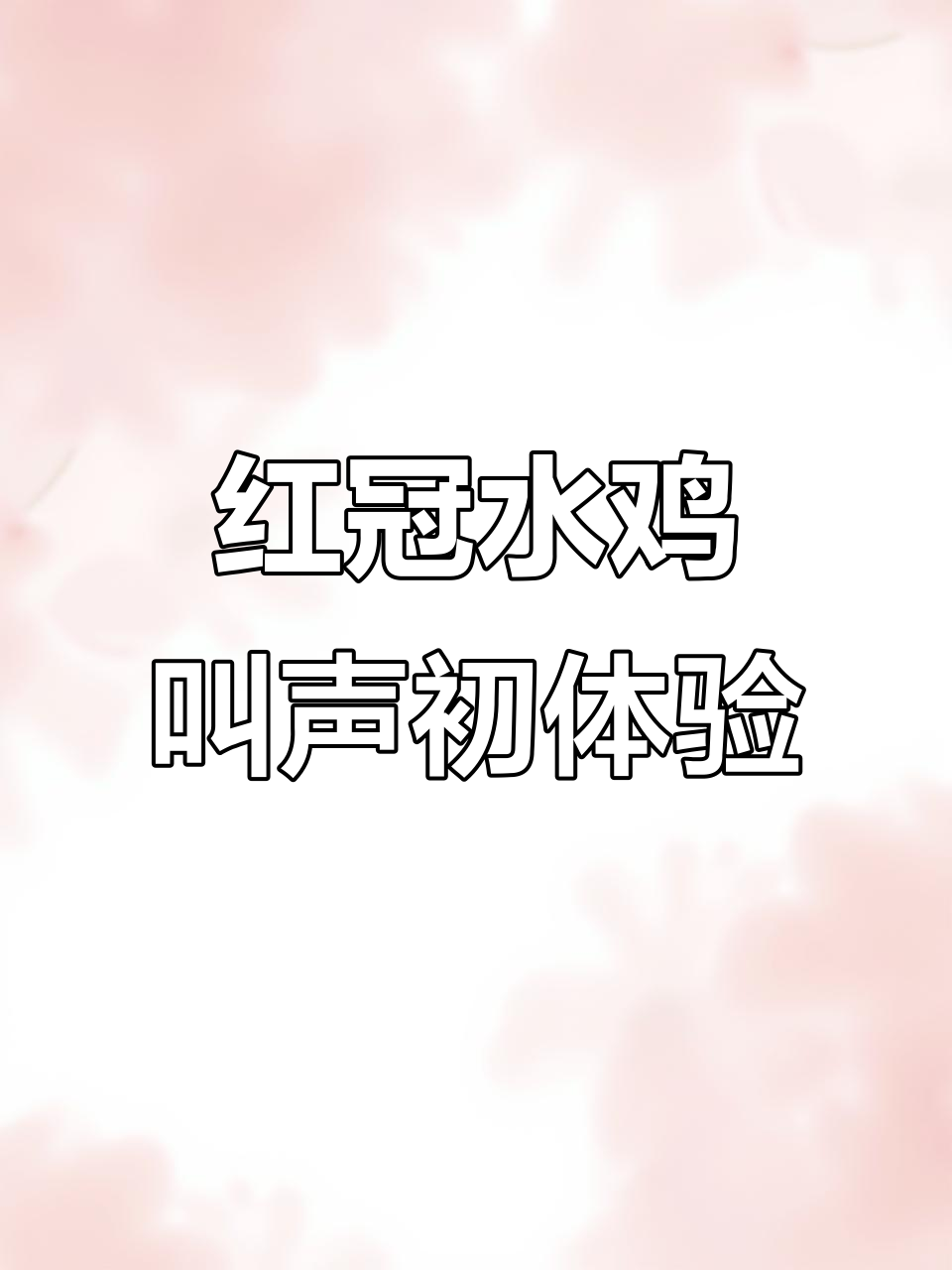 第一次听到红冠水鸡的独特叫声，竟然这么有趣！