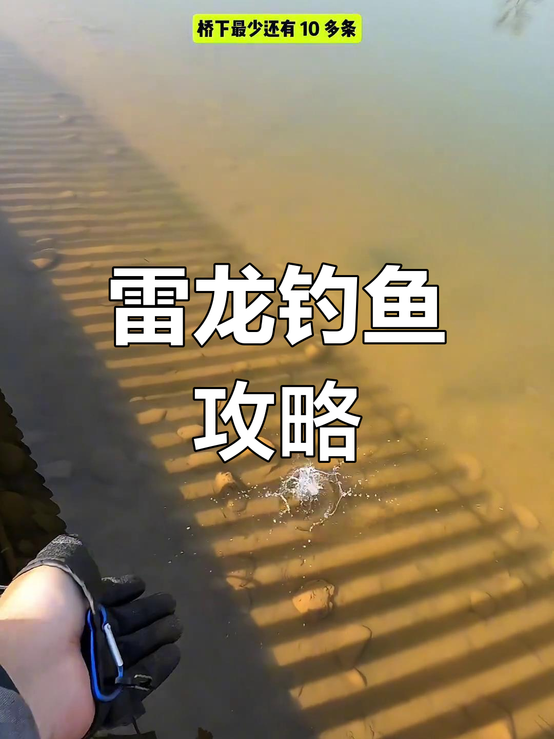 雷龙活跃,钓竿套装助力!