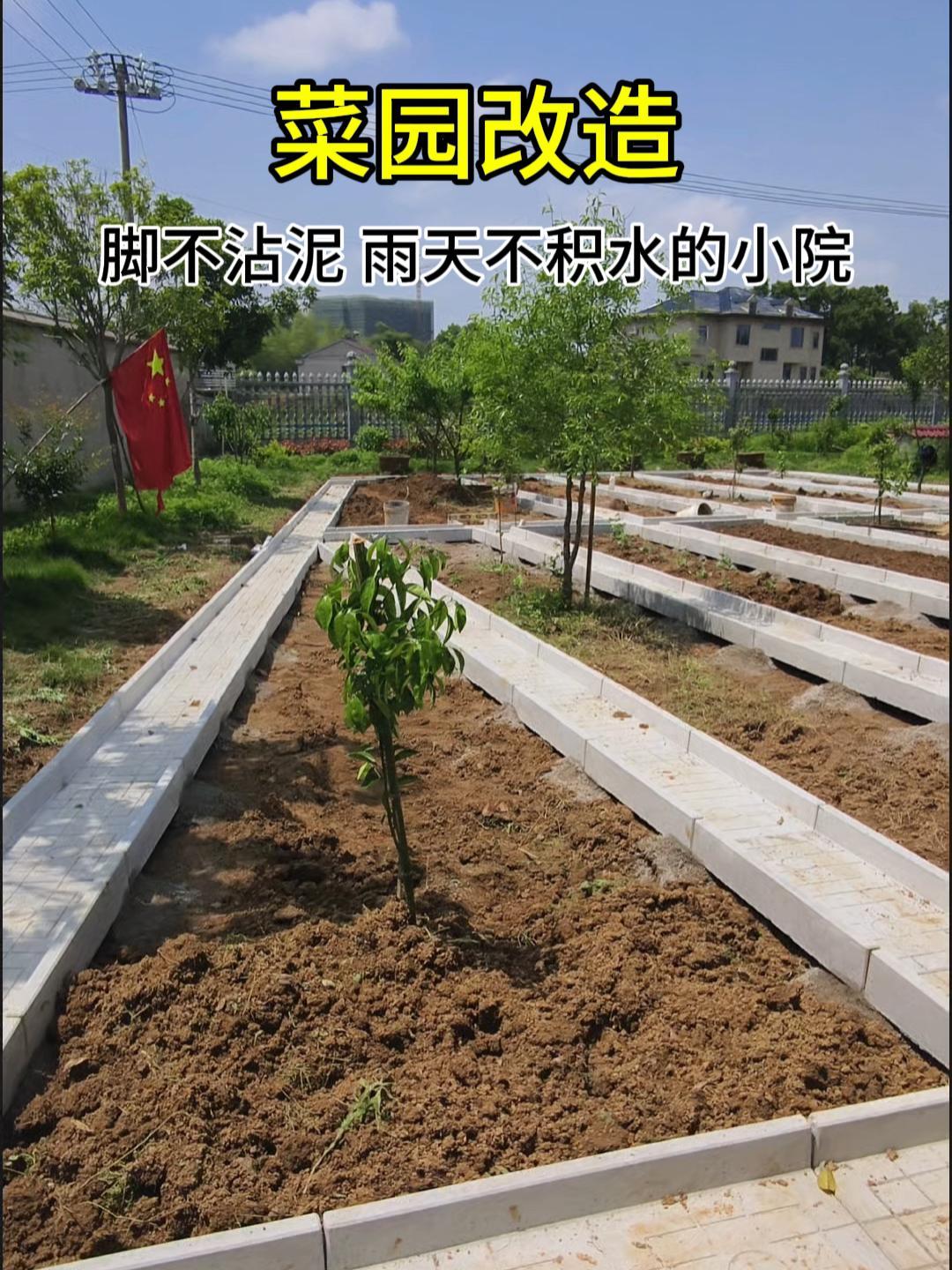 蔬菜种植 菜沟板 菜园 农家小院 新农村