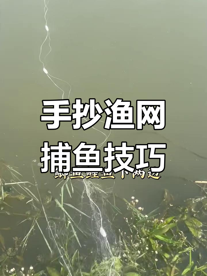 手工渔网捕鱼技巧大揭秘,如何应对不同鱼类?